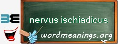 WordMeaning blackboard for nervus ischiadicus